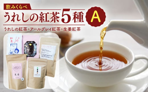 うれしの紅茶 5種 飲みくらべセット A【うれしの紅茶振興協議会】 [NAP005] 紅茶 和紅茶 嬉野紅茶 和紅茶 紅茶 ティーバッグ リーフ 佐賀 嬉野 紅茶 飲み比べ