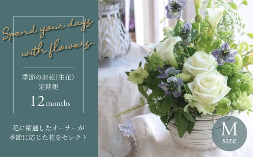 【毎月お届け】季節のお花（生花）の定期便・Mサイズ　12か月 356787 - 千葉県柏市