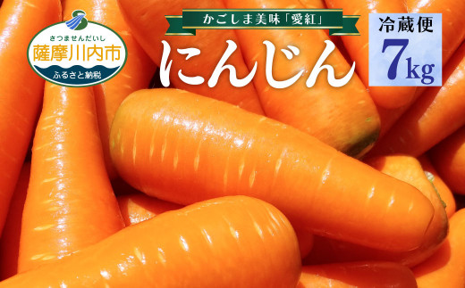 ZS-959-6 【冷蔵便】かごしま美味人参 愛紅 7kg 【6月発送】 にんじん ニンジン 1502629 - 鹿児島県薩摩川内市