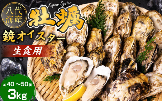 牡蠣 鏡オイスター 生食用 3kg オイスター 惣菜