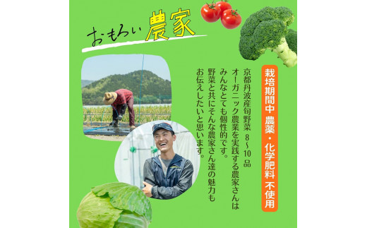 京都丹波産【栽培期間中農薬・化学肥料不使用】野菜セット