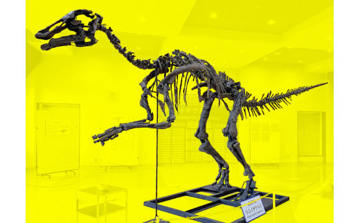 むかわ竜等身大全身骨格化石レプリカ(標準仕様)北海道 恐竜 限定1体!