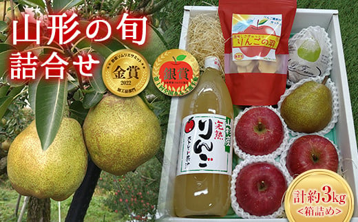 りんごの羽（無添加・ノンフライりんごチップス）10袋セット 【野菜