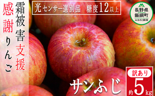 りんご サンふじ 5kg 訳あり 1月発送 長野県 光センサー 「 感謝りんご