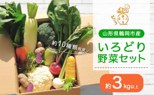 いろどり野菜セット　10種類以上　3㎏以上　やさいろ 610233 - 山形県鶴岡市