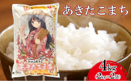 美少女イラスト 粒がひと回り大きい 高品質米 あきたこまち2kg×2袋 607611 - 秋田県羽後町