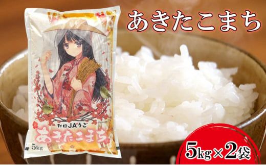 美少女イラスト 粒がひと回り大きい 高品質米 あきたこまち10kg（5kg×2袋）