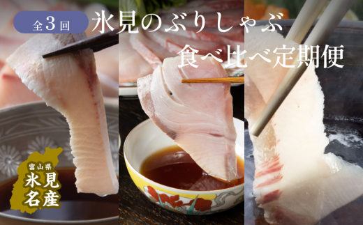 氷見のぶりしゃぶ 食べ比べ定期便 富山県 氷見市 鰤 しゃぶ ブリ シャブ しゃぶしゃぶ 定期便 食べ比べ 富山県氷見市 ふるさとチョイス ふるさと納税サイト