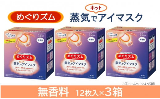 SA0851 めぐりズム 蒸気でホットアイマスク 無香料 36枚(12枚入×3箱