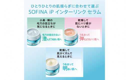 sofina ip  インターリンクセラム