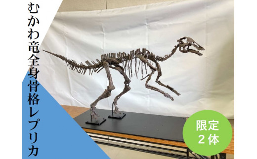 むかわ竜等身大全身骨格化石ミニレプリカ(標準仕様の5分の一サイズ)北海道 恐竜 限定2体!