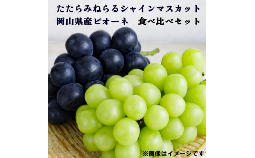 先行予約 たたらみねらる シャインマスカット ピオーネ 岡山 各１房 600g以上 計約1.2kg 食べ比べ  種無し ぶどう 果物 フルーツ 甘い マスカット 葡萄（2024年産先行受付）  Y-01 