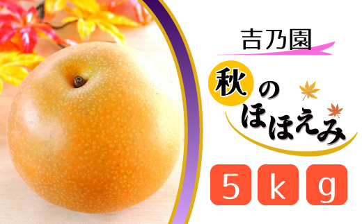 CD025 【吉乃園】松戸の完熟梨「秋のほほえみ」5kg