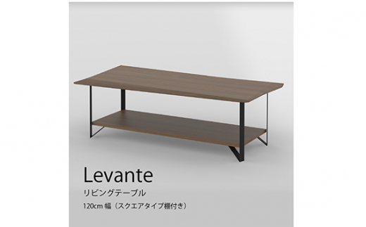 【セール中】リビングテーブル 楕円　棚付 - LEVANTE