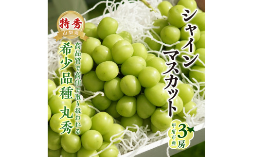 2023年発送！【山梨県甲府市産】Inakakara「特秀品シャインマスカット ...