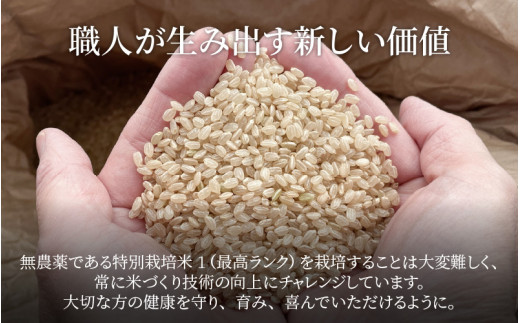 安い正規品 令和4年度産 無農薬無化学肥料かけ干しヒノヒカリ 玄米15Kg