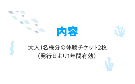 ウミガメシュノーケリング(2名様) - アクティビティ 体験型