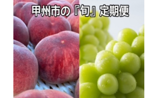 ちょんまげマーケットのフルーツ定期便(桃・シャインマスカット2回便)(CMG)【2023年 先行予約】C-435 612262 - 山梨県甲州市