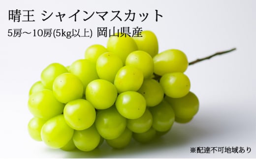 ぶどう［2023年先行予約］晴王 シャインマスカット 5房～10房（5kg以上