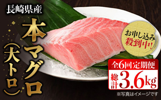 全6回定期便(月1回)】長崎県産 本マグロ 大トロ皮付き 約600g 【大村湾