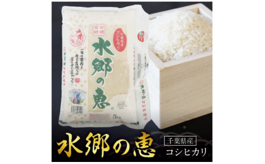 契約栽培＜冷温貯蔵米＞ 令和4年産 水郷の恵 コシヒカリ5kg×2袋(精米