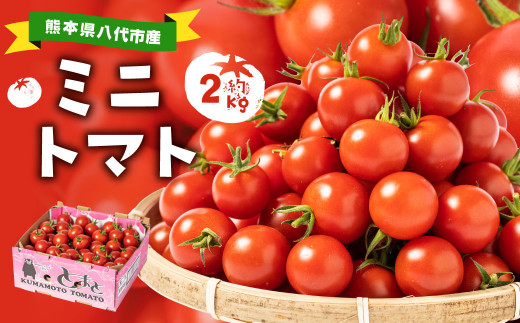 熊本県八代市産 ミニトマト 2kg 野菜