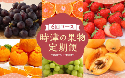 【定期便 6回コース】時津の果物定期便 みかんとぶどうの町から贈る 特産品の定期便