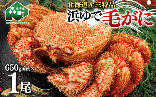 毛ガニ　２尾(約800g)　北海道産　一折れ　発送制限あり