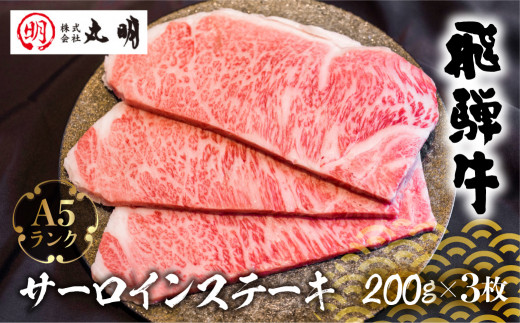 飛騨牛 A5 サーロインステーキ 200g×3枚 ステーキ 黒毛和牛 肉 飛騨