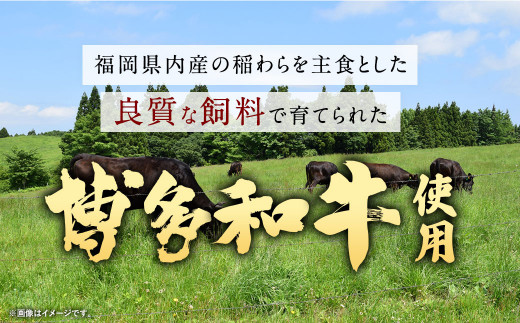 【福岡県産博多和牛使用】 博多和牛 じっくり煮込んだビーフカレー レトルト 7人前