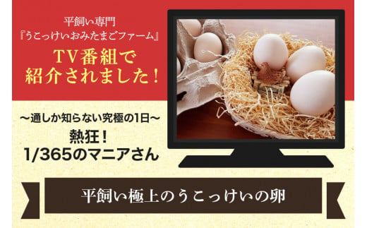 してお ３７ ｉ 極上烏骨鶏の卵と幸せの青い卵を産むアローカナの卵セット 24個 定期便12回 卵 新鮮たまご 健康 タンパク質 アミノ酸 豊富 高波動 最高級 絶品 ギフト 贈り物 茨城県小美玉市 である