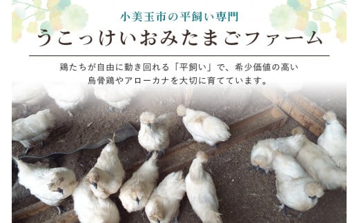 づくり ３７ ｆ 平飼い幸せの青いアローカナの卵 24個 定期便12回 卵 新鮮たまご 健康 タンパク質 アミノ酸 豊富 高波動 最高級 絶品 ギフト 贈り物 茨城県小美玉市より産地直送のタマゴ 卵か なるべくお