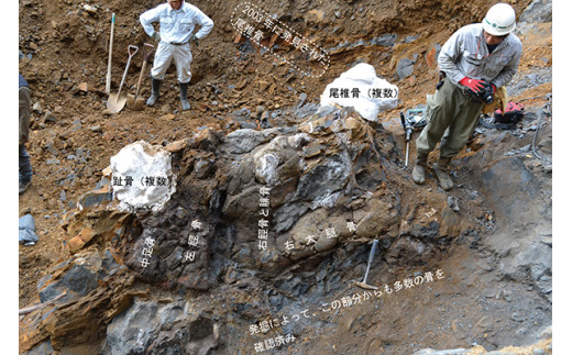 アイテムID:593981の画像5枚目