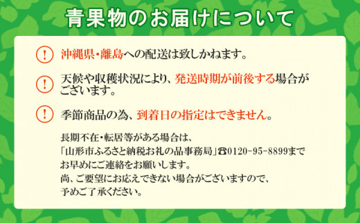 mari様専用/沖縄産 おすすめマンゴー1.6kg 在庫限り - associacaomcsc