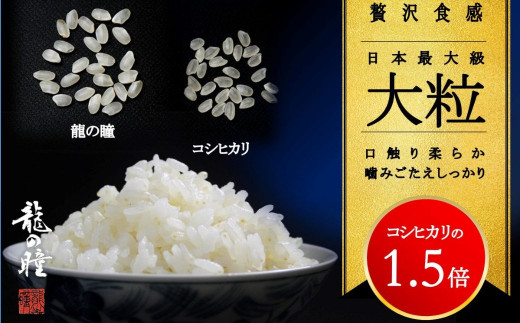 2022年産米・祝！全国コンテスト２冠獲得】3kg×4 飛騨産 ・龍の瞳