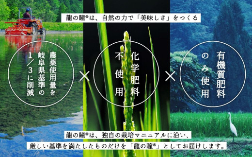 2022年産米・祝！全国コンテスト２冠獲得】10kg×1 飛騨産・龍の瞳