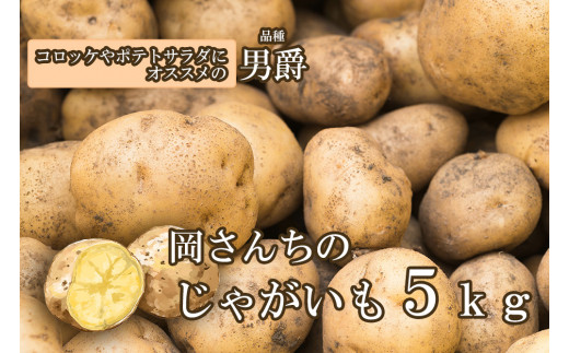 BE014_佐賀県みやき町岡さんちのじゃがいも（男爵）5kg
