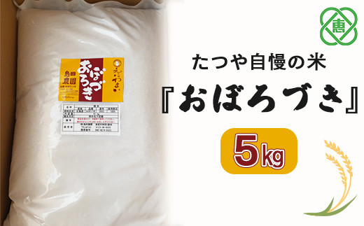 【北海道産】たつや自慢の米『おぼろづき』　5kg　【35033】