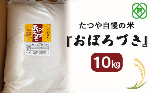 【北海道産】たつや自慢の米『おぼろづき』　10kg　【35032】