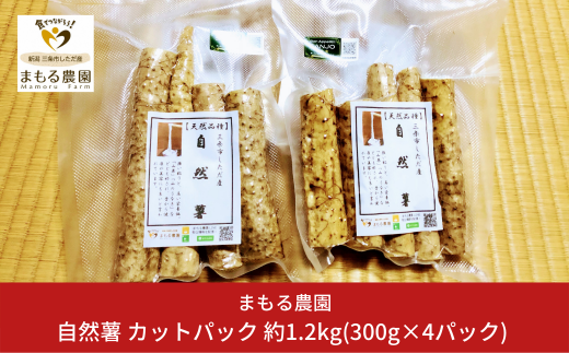 自然薯 カットパック 約1.2kg(300g×4パック) 山芋 とろろご飯に じねんじょ [まもる農園] 【012P048】 1090905 - 新潟県三条市