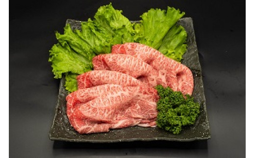 熊本県産 A5等級 和王 うでスライス 400g 牛肉 ウデ肉 613699 - 熊本県水俣市