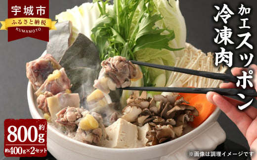 加工 スッポン 冷凍肉 約800g（約400g×2セット） 613639 - 熊本県宇城市