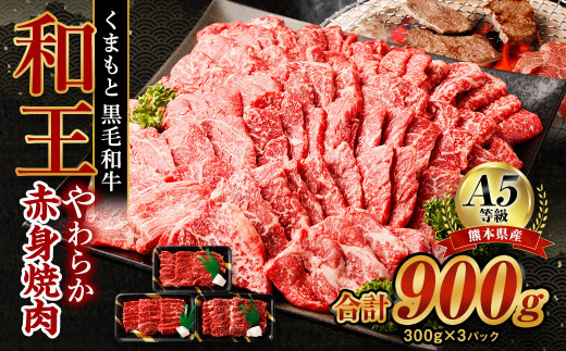 熊本県産 A5等級 和王 柔らか赤身 焼肉 合計約900g (300g×3P) 牛肉 赤身肉 613820 - 熊本県水俣市
