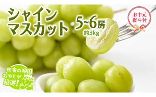 【お中元 熨斗付】 シャインマスカット 約3kg 5〜6房 【令和6年7月より発送開始】 田舎の頑固おやじが厳選！ マスカット 種なし 高糖度 ギフト お中元 甘い 美味しい フルーツ