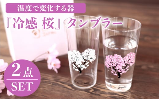 温度で変化する器 タンブラー ペアセット 『冷感 桜』【丸モ高木陶器】 [TBA134]