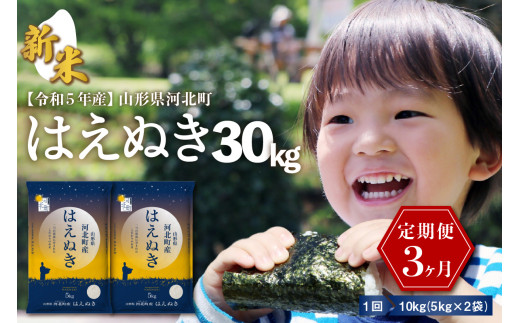 【令和5年産米】※選べる配送時期※ はえぬき30kg（10kg×3ヶ月）定期便 山形県産 一等米 ※2023年10月より発送※【米COMEかほく協同組合】