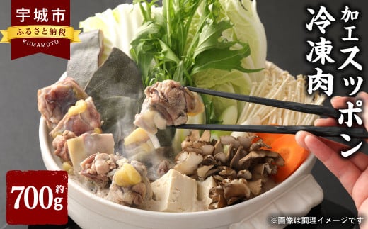 加工 スッポン 冷凍肉 約700g すっぽん レシピ同封 冷凍 加工済み 538915 - 熊本県宇城市