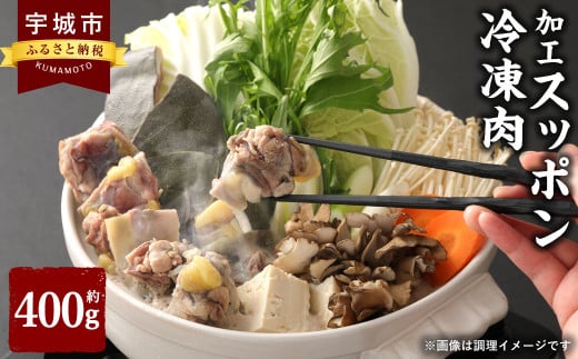 加工 スッポン 冷凍肉 約400g 613638 - 熊本県宇城市