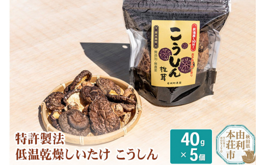 岩城町農園 特許製法 低温乾燥しいたけ こうしん 200g(40g×5個) 280029