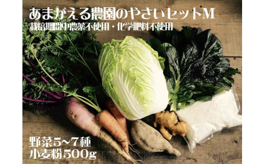 あまがえる農園のやさいセットM（栽培期間中農薬・化学肥料不使用）|